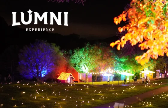 Lumni Experience