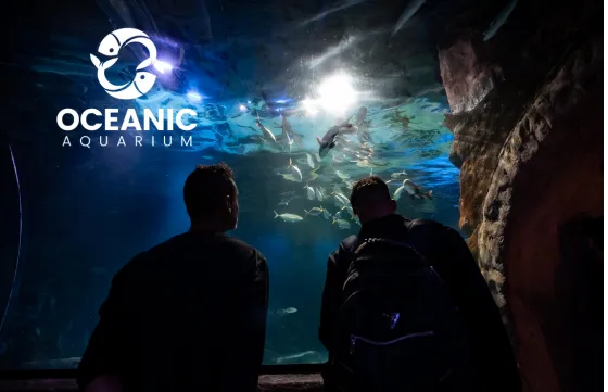 Oceanic Aquarium